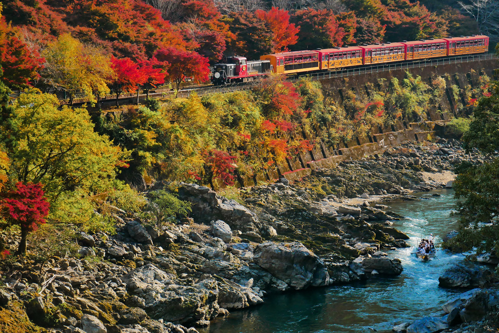 秋の京都、嵐山のトロッコ列車、フリー素材